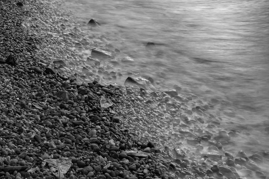 Douarnenez confirme sa dynamique portuaire avec 4 000 tonnes de poissons débarqués en octobre