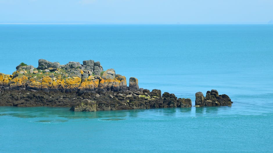 En Cornouaille, le poisson local s'invite dans les cantines des lycées publics