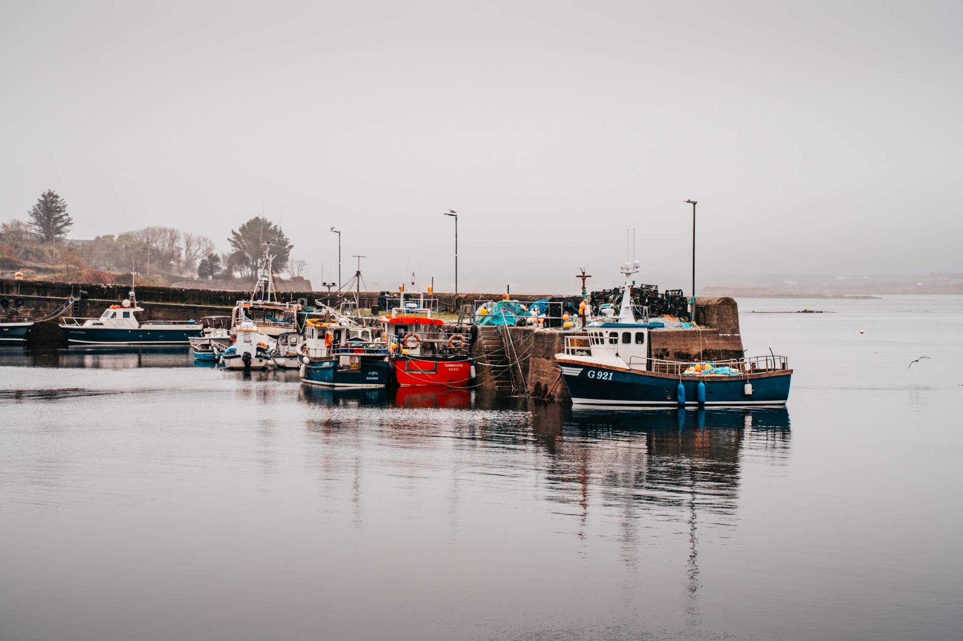 Le maquereau en péril : entre réchauffement climatique et tensions géopolitiques