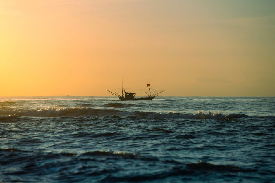 Pêche maritime française : une empreinte carbone à réduire malgré sa faible part globale