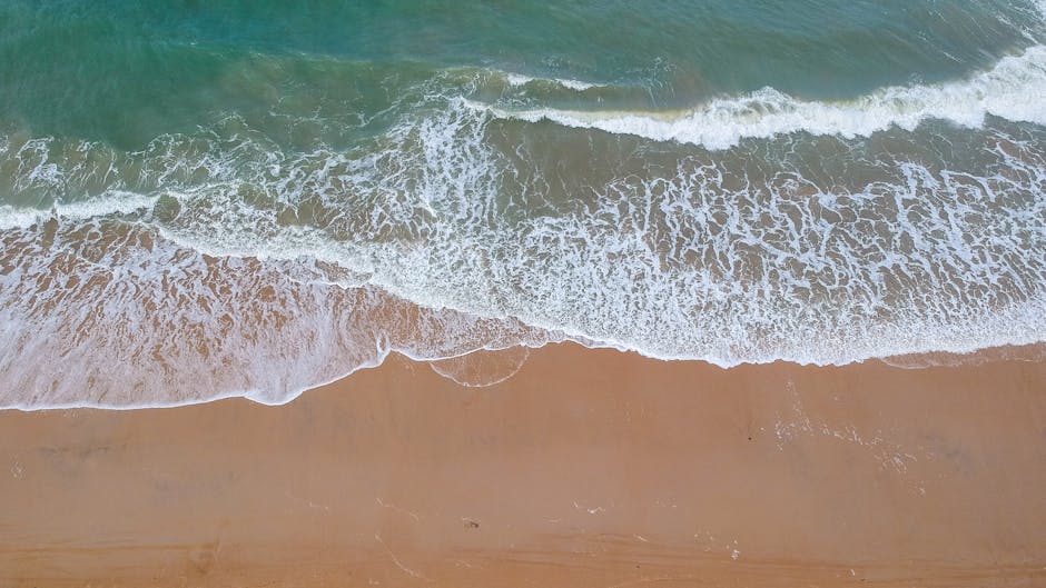 Petite pêche côtière en Corse : un plan de gestion en discussion à Ajaccio